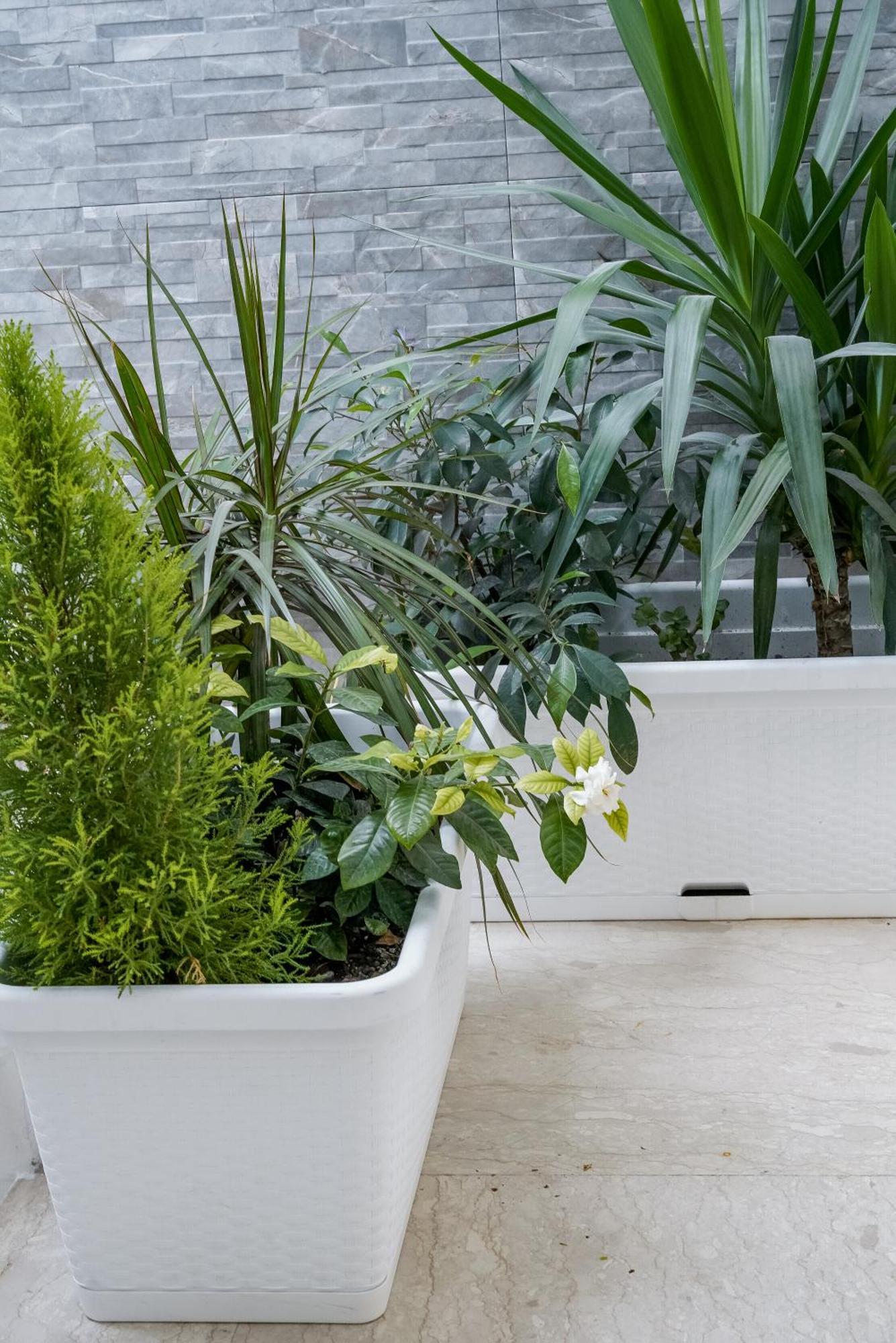 La Peonia B&B Ragusa Kültér fotó